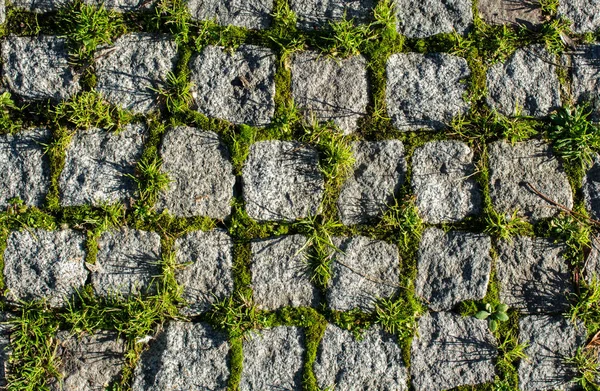 Cobblestone Pedra Pavimento Fundo Textura Rua — Fotografia de Stock