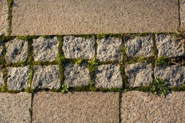 Caddedeki kaldırım taşı döşeme dokusu
