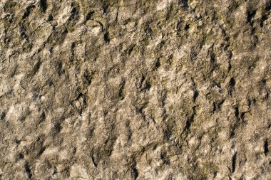 Basit bir grunge arkaplan dokusu kalıbı olarak duvar yüzeyi