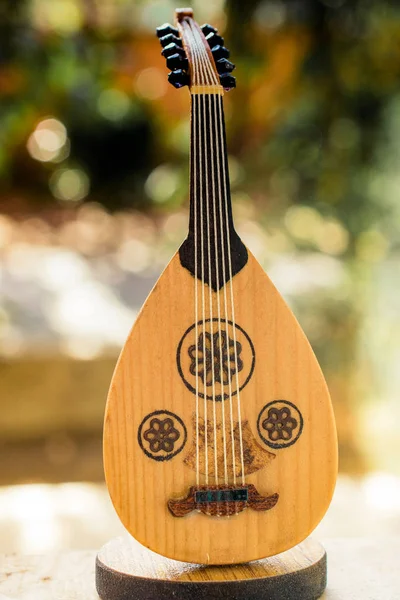 Instrumento Musical Cuerda Clásica Vista —  Fotos de Stock