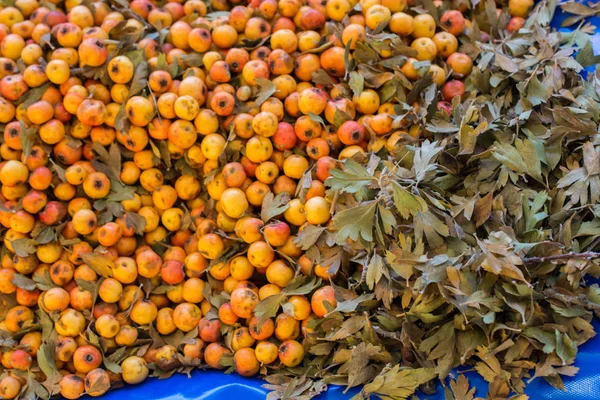 Azarole Médaillon Méditerranéen Ramassé Vendu Sur Marché — Photo