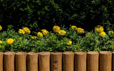 Görünüşte ahşaptan yapılmış bir çit parçası