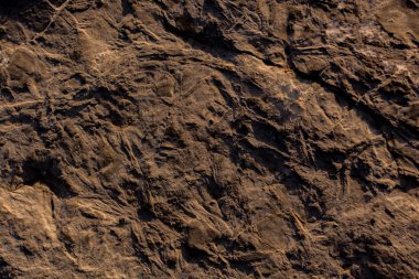 Arka plan dokusu olarak doğal kaya veya taş yüzeyi