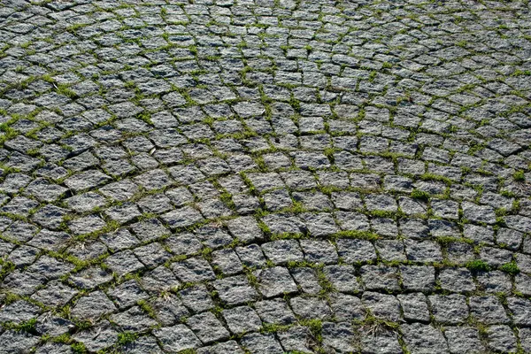 Cobblestone Stone Pavement Background Texture Street — Stock Photo, Image