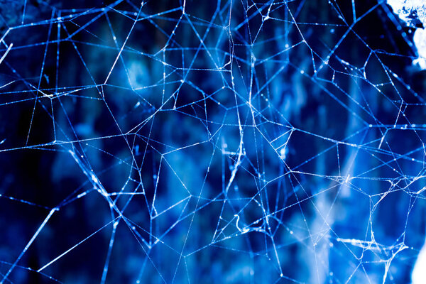 Паутина в пещере с видом