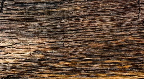 Arkaplan olarak doğal desenli ahşap doku