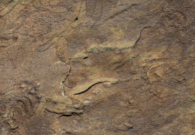 Arka plan dokusu olarak doğal kaya veya taş yüzeyi