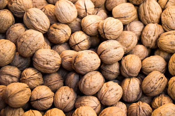 Pile Whole Fresh Walnuts Hard Nutshells — Stock Photo, Image