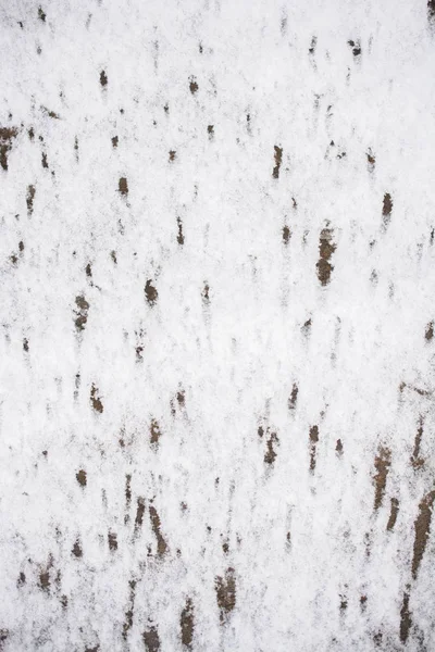 Snow Ground Abstract Background View — Stock Photo, Image