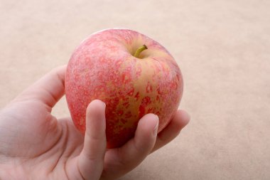 Kırmızı elmayla okula dönüş teması