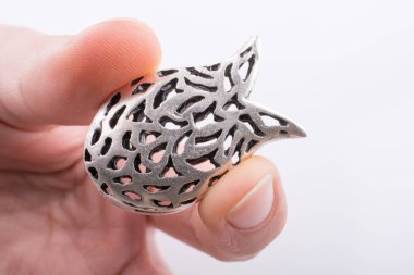 Gümüş Lale beyaz bir arka plan üzerinde tutan el