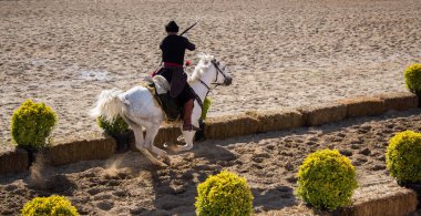Osmanlı okçusu ata biner ve at sırtında ateş eder.