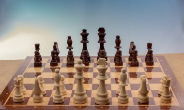 Satranç tahtasının üzerinde satranç taşları var.