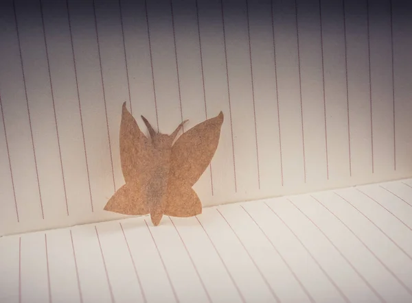 Paper is  cut out in shape of a butterfly