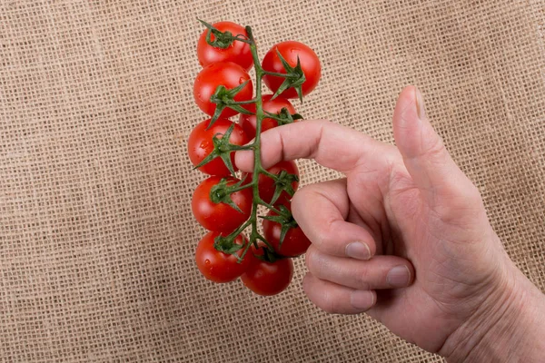 Bunch Red Ripe Tasty Cherry Tomatos Hand — Stock Photo, Image