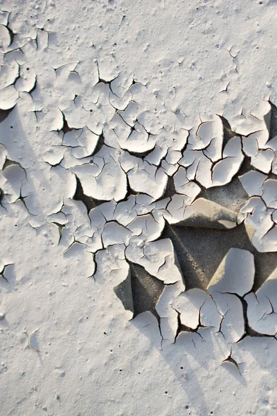 Patterns Freshly Poured Concrete Surface — Stock Photo, Image
