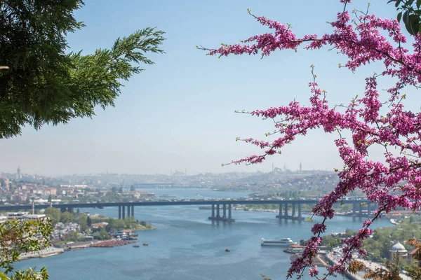 Golden Horn Bridge Turquie — Photo