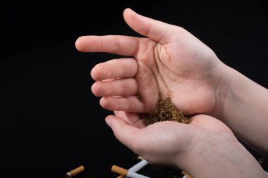 Tütünü bir sigara konsepti olarak elinizde kesin.