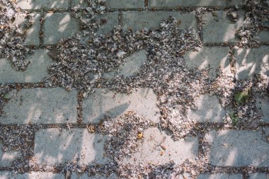 Arkaplan ve arkaplan doku ayrıntıları