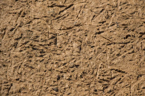 Soil surface as a background texture