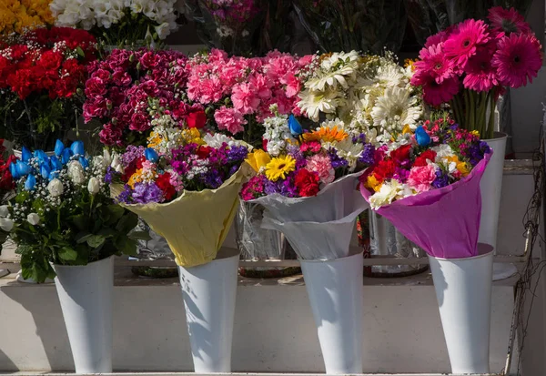 Färgglada Blommande Vårblommor Vas — Stockfoto