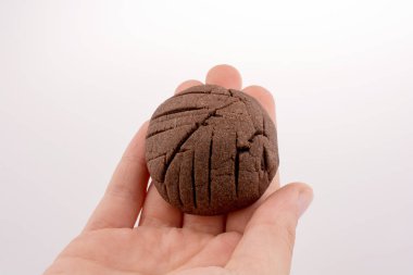 Çikolatalı kurabiye beyaz bir arka plan üzerinde tutan el