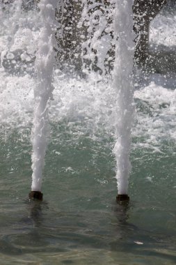 Çeşmeler parktaki bir havuzda köpüklü su fışkırtıyor.