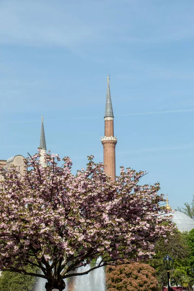 Minaret Pierre Dans Les Mosquées Temps Ottoman Vue — Photo