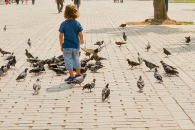 Yalnız kuş doğal ortamda yaşar.
