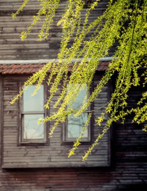 İstanbul 'da eski pencere mimarisi görüldü
