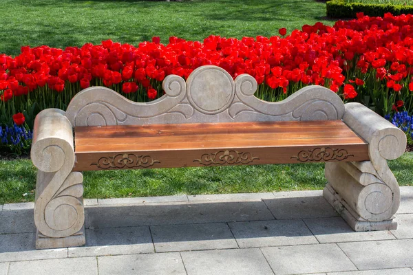 Parktaki ahşap park bankında.