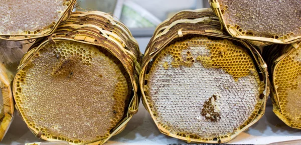 Sweet Fresh Honey Sealed Comb Frame — Stock Photo, Image