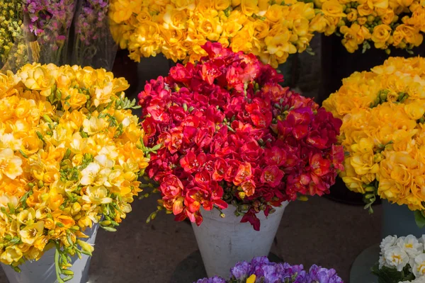 Flores Coloridas Primavera Florescendo Vaso — Fotografia de Stock