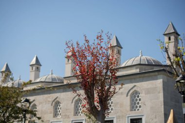 İstanbul 'da Osmanlı döneminden kalma eski pencere mimarisi