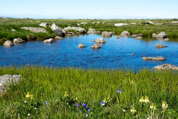 Highland Λίμνη Στο Πράσινο Φυσικό Υπόβαθρο Στην Επαρχία Artvin Της — Φωτογραφία Αρχείου