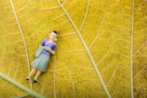 Little tiny woman figurine on a leaf macro