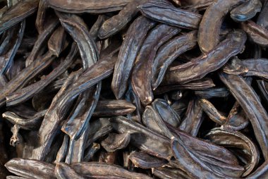 Manzarada yüzlerce kuru kahverengi sürahi var.