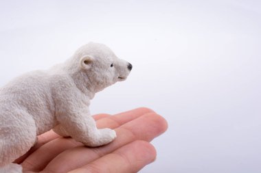 Bir kutup ayısı modeli tutan el