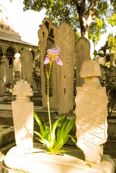 Arte Pietra Della Tomba Ottomana Nel Cimitero — Foto Stock