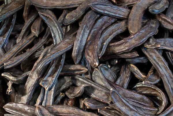 Manzarada yüzlerce kuru kahverengi sürahi var.