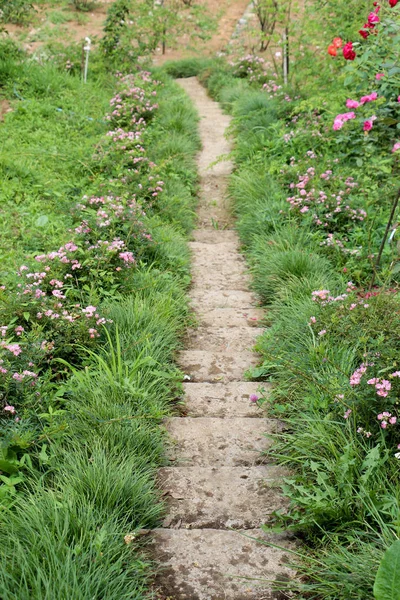 Trappa Kulle Botaniska Parken — Stockfoto