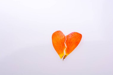 Beyaz zemin üzerinde bir turuncu rose petal