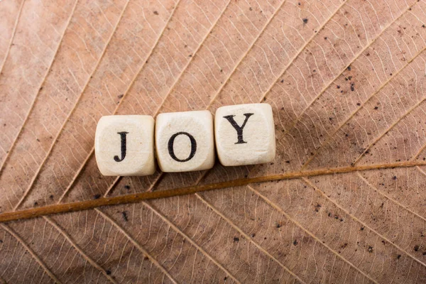 Text Message Wording Word Joy Leaf — Stock Photo, Image