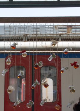 İplere asılı çiçekli bitkisel çay şişeleri