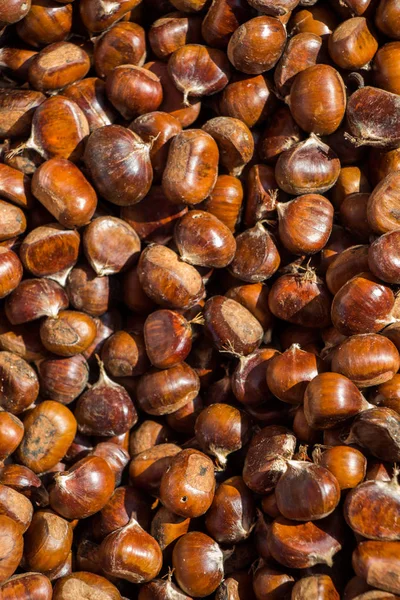 Castanha Doce Fresca Crua Para Venda — Fotografia de Stock