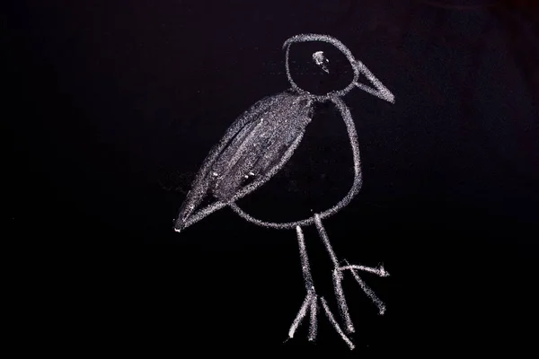 Chalk Drawn Bird Blackboard — Stock Photo, Image