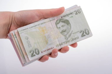 Turksh Lirası banknotlar beyaz arka plan üzerinde tutan el