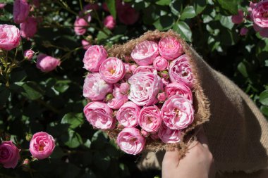 Eline tuval sarılmış güzel taze güller