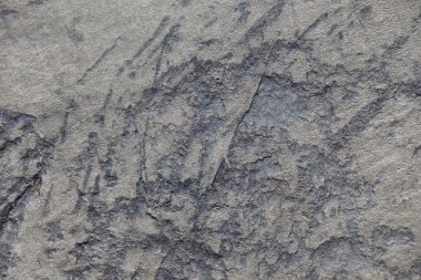 Belirli bir doku kalıbına sahip arka plan