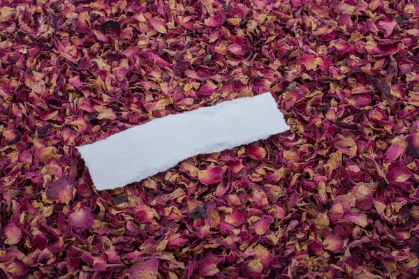 Papel Desgarrado Una Caja Llena Pétalos Rosa Secos —  Fotos de Stock